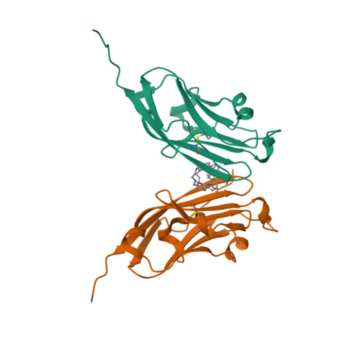 Rcsb Pdb 6vqn Co Crystal Structure Of Human Pd L1 Complexed With Compound A