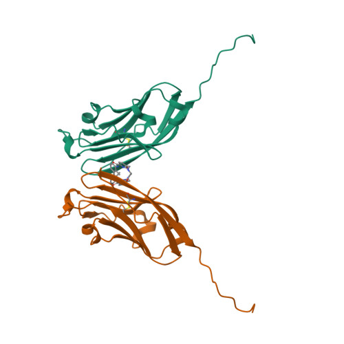 Rcsb Pdb 6vqn Co Crystal Structure Of Human Pd L1 Complexed With Compound A