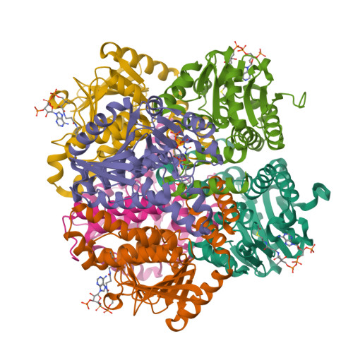 Rcsb Pdb 2vsu A Ternary Complex Of Hydroxycinnamoyl Coa Hydratase Lyase Hchl With Acetyl Coenzyme A And Vanillin Gives Insights Into Substrate Specificity And Mechanism