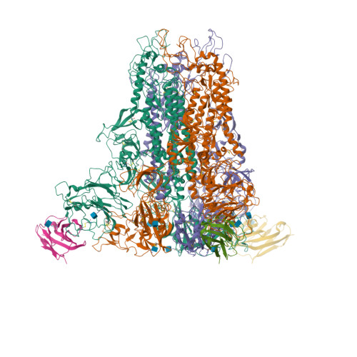 Rcsb Pdb 6vsj Cryo Electron Microscopy Structure Of Mouse