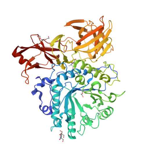 Rcsb Pdb 2vtf X Ray Crystal Structure Of The Endo Beta N Acetylglucosaminidase From Arthrobacter Protophormiae E173q Mutant Reveals A Tim Barrel Catalytic Domain And Two Ancillary Domains