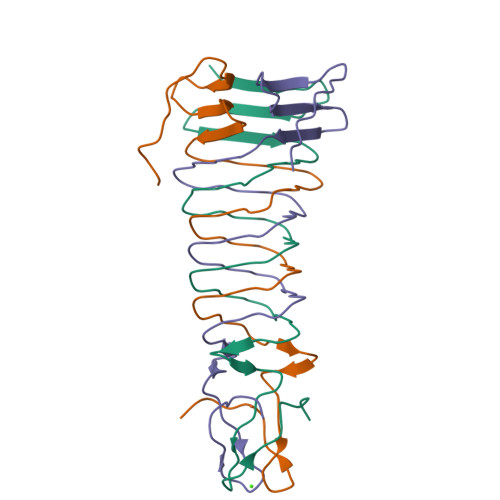 Rcsb Pdb 3vto The Crystal Structure Of The C Terminal Domain Of Mu Phage Central Spike