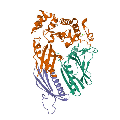 Rcsb Pdb 5vtm The Crystal Structure Of Minor Pseudopilin Ternary Complex Of Xcpvwx From The Type 2 Secretion System Of Pseudomonas Aeruginosa