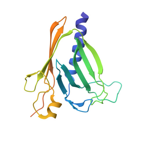 Rcsb Pdb 5vtm The Crystal Structure Of Minor Pseudopilin Ternary Complex Of Xcpvwx From The Type 2 Secretion System Of Pseudomonas Aeruginosa