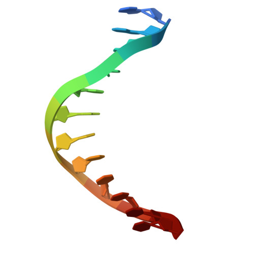 Rcsb Pdb 6vtx Crystal Structure Of Human Klf4 Zinc Finger Dna Binding Domain In Complex With Nanog Dna