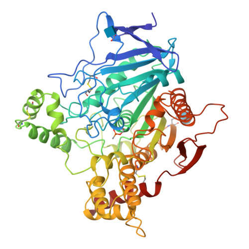 Rcsb Pdb 1vxo Methylphosphonylated Acetylcholinesterase Aged Obtained By Reaction With O Ethyl S 2 Bis 1 Methylethyl Amino Ethyl Methylphosphonothioate Vx