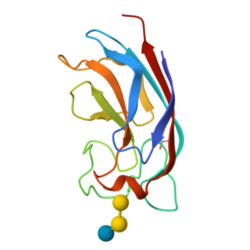 Rcsb Pdb 2vxj Crystal Structure Of Pa Il Lectin Complexed With Agal13bgal14glc At 1 9 A Resolution