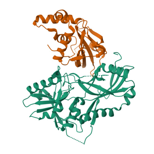 Rcsb Pdb 3vx8 Crystal Structure Of Arabidopsis Thaliana Atg7ntd Atg3 Complex