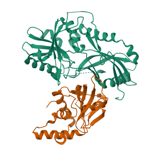 Rcsb Pdb 3vx8 Crystal Structure Of Arabidopsis Thaliana Atg7ntd Atg3 Complex