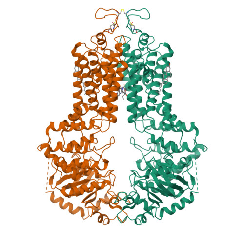 Rcsb Pdb 6vxj Structure Of Abcg2 Bound To Sn38