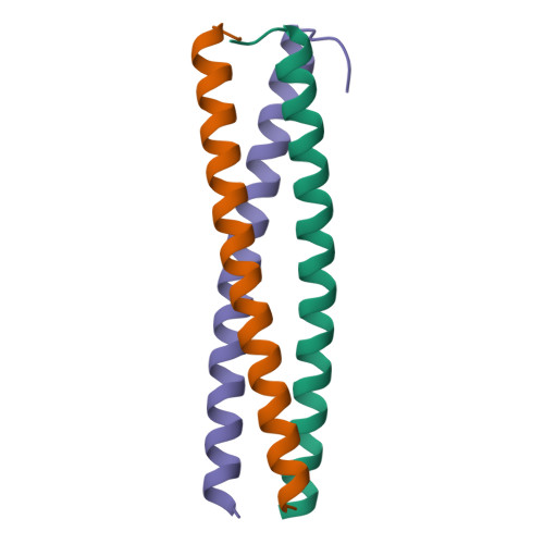 Rcsb Pdb 3vyi Crystal Structure Of A Trimeric Coiled Coil I I Type Assembly Domain From The Voltage Gated Proton Channel Mutant