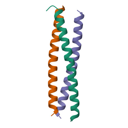 Rcsb Pdb 3vyi Crystal Structure Of A Trimeric Coiled Coil I I Type Assembly Domain From The Voltage Gated Proton Channel Mutant