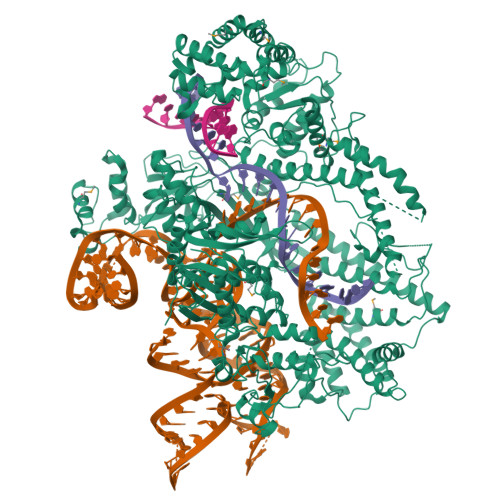 7VYX assembly