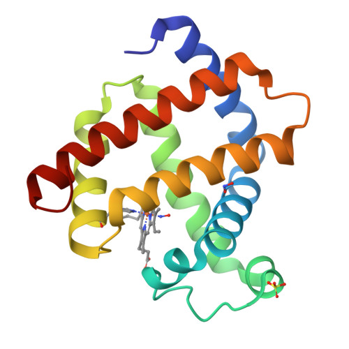 Rcsb Pdb 5vzq Sperm Whale Myoglobin V68a I107y With Nitric Oxide