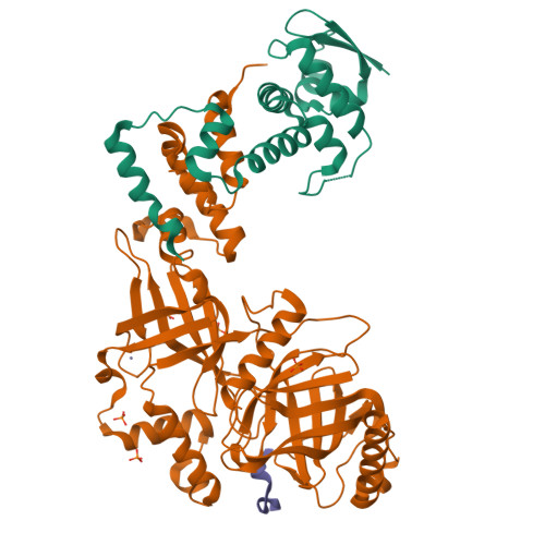 Rcsb Pdb 5vzu Crystal Structure Of The Skp1 Fbxo31 Cyclin D1 Complex