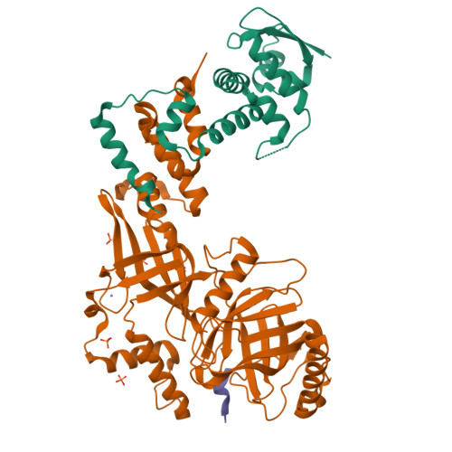 Rcsb Pdb 5vzu Crystal Structure Of The Skp1 Fbxo31 Cyclin D1 Complex