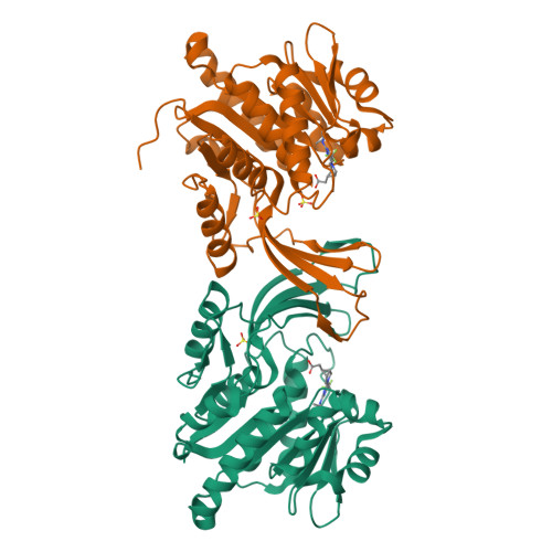 Rcsb Pdb 6w0z Structure Of Khk In Complex With Compound 8 2 1 S 5 R 3 2 2 S 2 Methylazetidin 1 Yl 6 Trifluoromethyl Pyrimidin 4 Yl 3 Azabicyclo 3 1 0 Hexan 6 Yl Ethanoic Acid