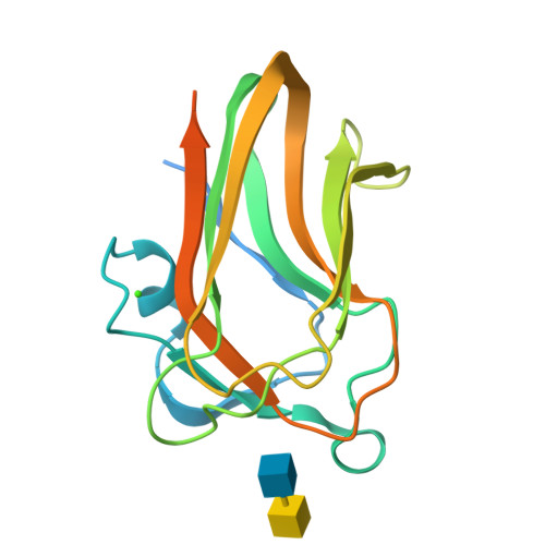 Rcsb Pdb 2w1u A Family 32 Carbohydrate Binding Module From The Mu Toxin Produced By Clostridium Perfringens In Complex With Beta D Glcnac Beta 1 3 Galnac