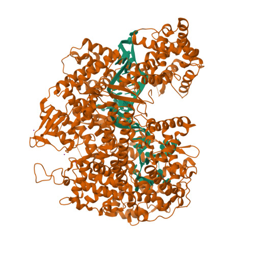 5W1I assembly