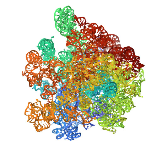 Rcsb Pdb 4w2e Crystal Structure Of Elongation Factor 4 Ef4 Lepa Bound To The Thermus Thermophilus 70s Ribosome