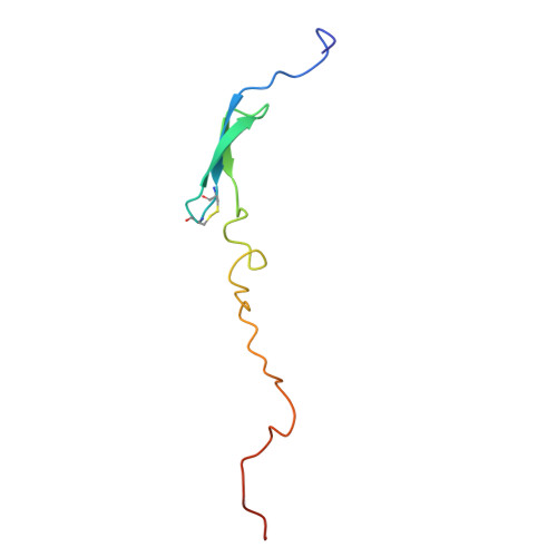 Rcsb Pdb 4w2e Crystal Structure Of Elongation Factor 4 Ef4 Lepa Bound To The Thermus Thermophilus 70s Ribosome