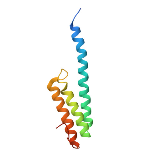 Rcsb Pdb 4w2e Crystal Structure Of Elongation Factor 4 Ef4 Lepa Bound To The Thermus Thermophilus 70s Ribosome