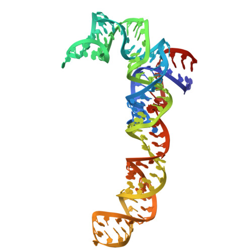 Rcsb Pdb 4w2e Crystal Structure Of Elongation Factor 4 Ef4 Lepa Bound To The Thermus Thermophilus 70s Ribosome