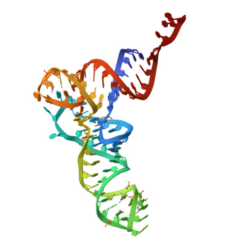 Rcsb Pdb 4w2e Crystal Structure Of Elongation Factor 4 Ef4 Lepa Bound To The Thermus Thermophilus 70s Ribosome