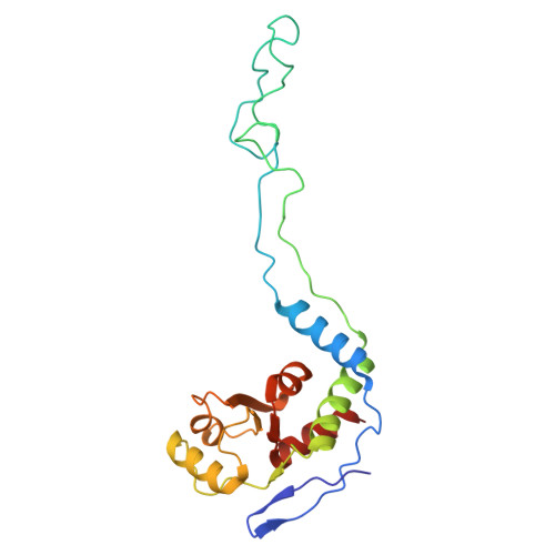 Rcsb Pdb 4w2e Crystal Structure Of Elongation Factor 4 Ef4 Lepa Bound To The Thermus Thermophilus 70s Ribosome