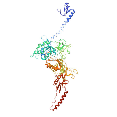 Rcsb Pdb 4w2e Crystal Structure Of Elongation Factor 4 Ef4 Lepa Bound To The Thermus Thermophilus 70s Ribosome