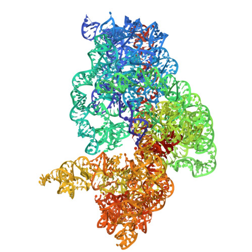 Rcsb Pdb 4w2e Crystal Structure Of Elongation Factor 4 Ef4 Lepa Bound To The Thermus Thermophilus 70s Ribosome