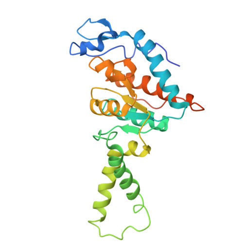Rcsb Pdb 4w2e Crystal Structure Of Elongation Factor 4 Ef4 Lepa Bound To The Thermus Thermophilus 70s Ribosome