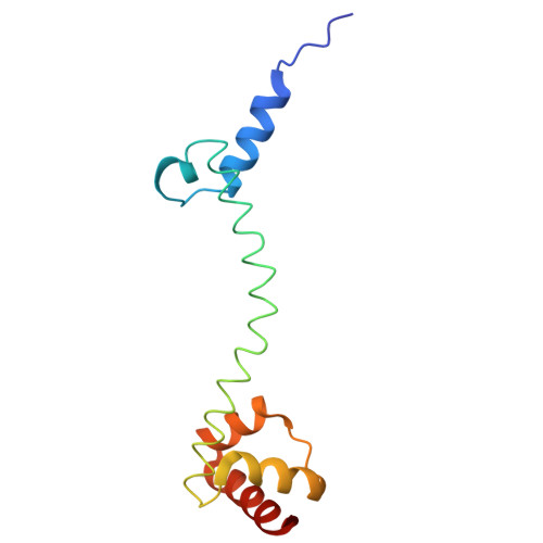 Rcsb Pdb 4w2e Crystal Structure Of Elongation Factor 4 Ef4 Lepa Bound To The Thermus Thermophilus 70s Ribosome