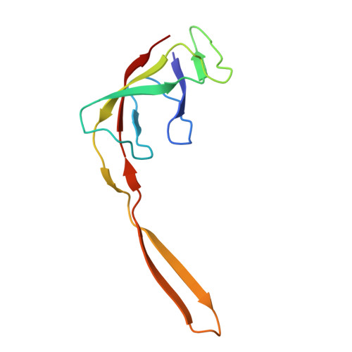 Rcsb Pdb 4w2e Crystal Structure Of Elongation Factor 4 Ef4 Lepa Bound To The Thermus Thermophilus 70s Ribosome