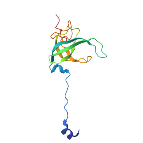 Rcsb Pdb 4w2e Crystal Structure Of Elongation Factor 4 Ef4 Lepa Bound To The Thermus Thermophilus 70s Ribosome