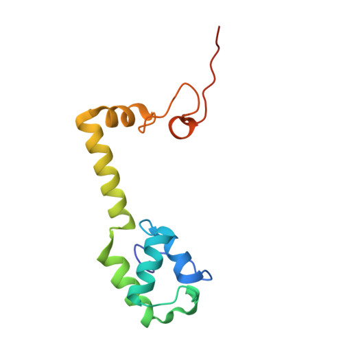 Rcsb Pdb 4w2e Crystal Structure Of Elongation Factor 4 Ef4 Lepa Bound To The Thermus Thermophilus 70s Ribosome