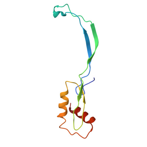 Rcsb Pdb 4w2e Crystal Structure Of Elongation Factor 4 Ef4 Lepa Bound To The Thermus Thermophilus 70s Ribosome
