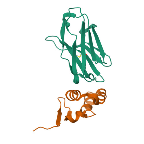 Rcsb Pdb 4w2q Anti Marburgvirus Nucleoprotein Single Domain Antibody C Complexed With Nucleoprotein C Terminal Domain