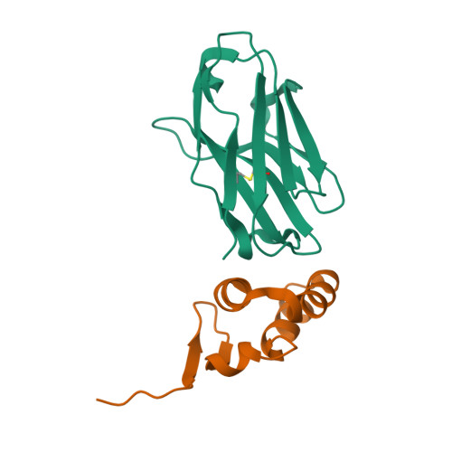 Rcsb Pdb 4w2q Anti Marburgvirus Nucleoprotein Single Domain Antibody C Complexed With Nucleoprotein C Terminal Domain