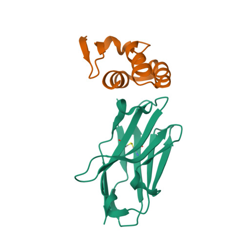 Rcsb Pdb 4w2q Anti Marburgvirus Nucleoprotein Single Domain Antibody C Complexed With Nucleoprotein C Terminal Domain