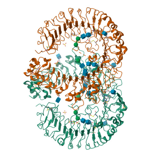 Rcsb Pdb 3w3j Crystal Structure Of Human Tlr8 In Complex With Cl097