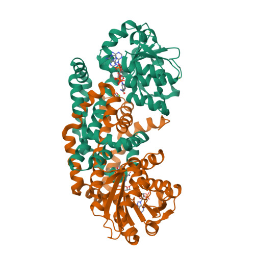 Protein Data Bank: 5W3K