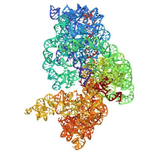 Rcsb Pdb 4w4g Postcleavage State Of 70s Bound To Higb Toxin And Aaa Lysine Codon