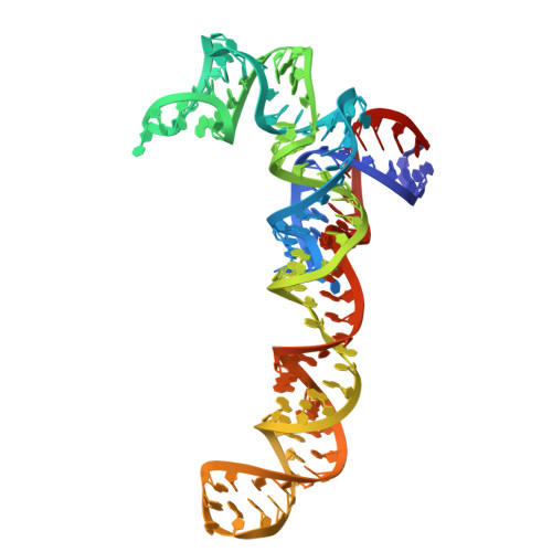 Rcsb Pdb 4w4g Postcleavage State Of 70s Bound To Higb Toxin And Aaa Lysine Codon