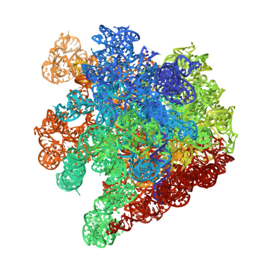 Rcsb Pdb 4w4g Postcleavage State Of 70s Bound To Higb Toxin And Aaa Lysine Codon