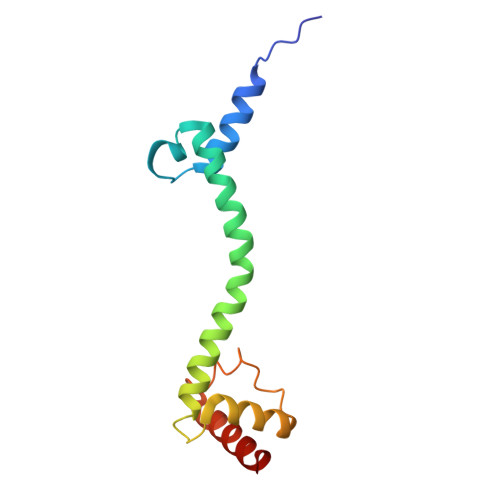 Rcsb Pdb 4w4g Postcleavage State Of 70s Bound To Higb Toxin And Aaa Lysine Codon