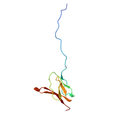 Rcsb Pdb 4w4g Postcleavage State Of 70s Bound To Higb Toxin And Aaa Lysine Codon