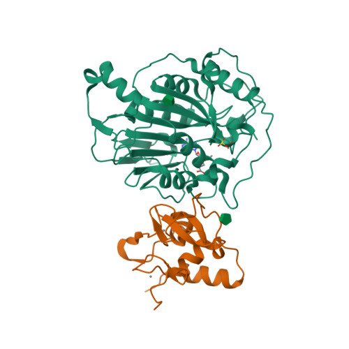 Rcsb Pdb 6w4h 1 80 Angstrom Resolution Crystal Structure Of Nsp16 Nsp10 Complex From Sars Cov 2