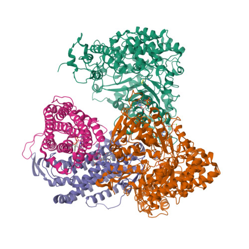 Rcsb Pdb 6w4x Holocomplex Of E Coli Class Ia Ribonucleotide Reductase With Gdp And Ttp