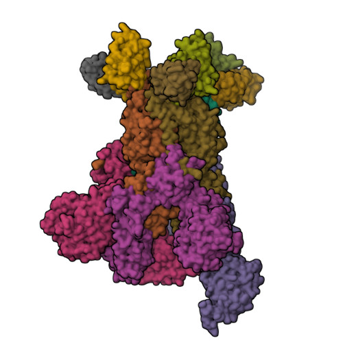 Rcsb Pdb 5w9h Mers S Ectodomain Trimer In Complex With Variable Domain Of Neutralizing Antibody G4